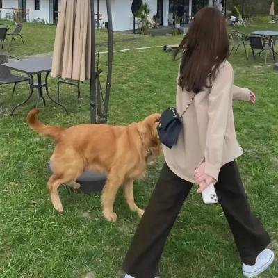 天堂春满